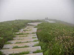 �R������̓o�R���B