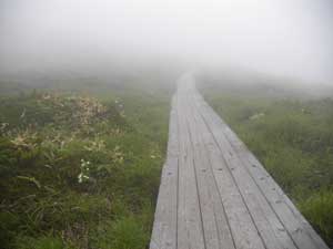 �ؓ���i�ށB