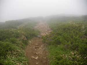 �΍�����̓o�R���B