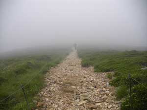 �U����I�ȓ��B