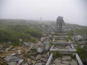 �ؒi�{����H�̓o�R���B