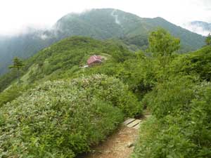 ���W�R�̉�