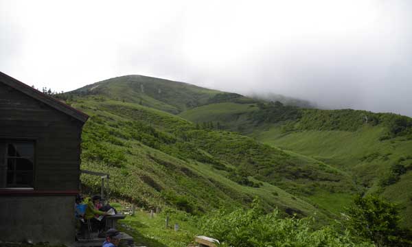 ���W�R�̉Ƃ���̒���