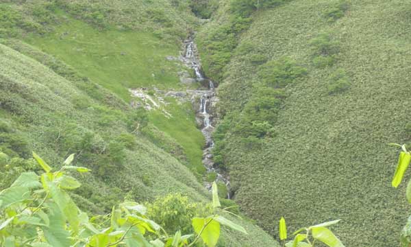 ���W�R�̉Ƃ���̒���