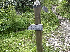 �����V��������B