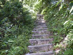 �܂�����`�ؒi�E�E�E