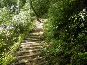 �ؒi�͑������B