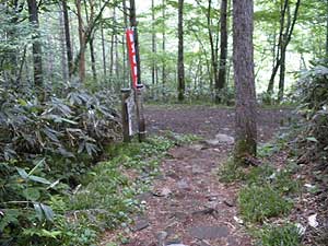 ���W�R�̉Ƃ���̒���