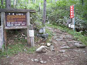 ���W�R�̉Ƃ���̒���