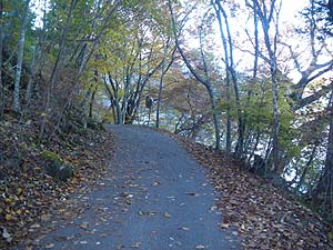 �A�X�t�@���g�ܑ̕��H