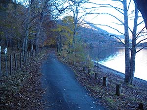 �L�O�ق���ܑ̕��H