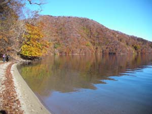 �ΔȂ��猩���i�F