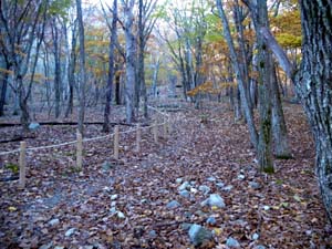 ����������̓o�R��