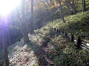 ����������̓o�R��