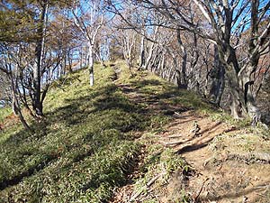 ������������̓o�R��