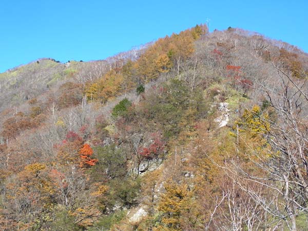 �R��������]�ށB