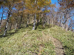 ���}�ȎΖʂ�i�񂾁B