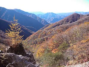 ����ʂ̌i�F�B