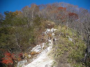 �X�ɁA�}�΂�i�񂾁B