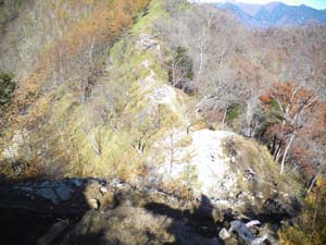 �s�[�N����̓o�R���B