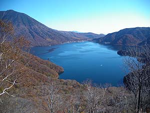 �������猩�����T����