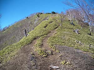 �ɂ₩�Ȕ�����i�ށB