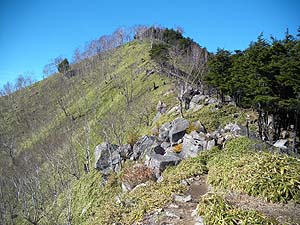 �����͍X�ɑ������`