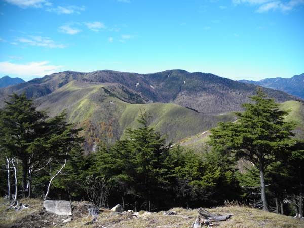 �R���t�߂���̒���