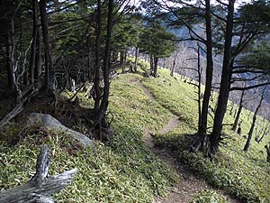 �R������o�R��