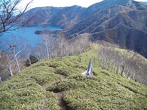 �����̔���������B