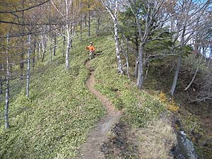 �����̔���������B