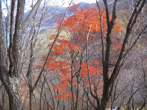 ���݂����^����