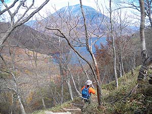 �������Ɍ����ĉ���`