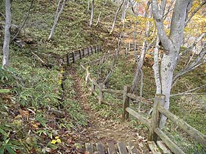 �������Ɍ����ĉ���`