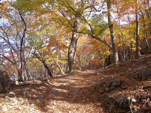 ����������̓�