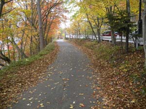 �L�O�ق���ܑ̕��H