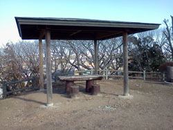 �ԓ��I�_�ɎԂ��߂�