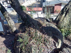 �ٌc���������