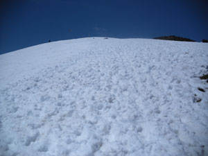 �Ζʂ������猩��