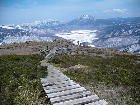 �ؓ��͗y�����܂ő����Ă���`