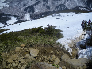 �Ⴊ���ꂽ�B