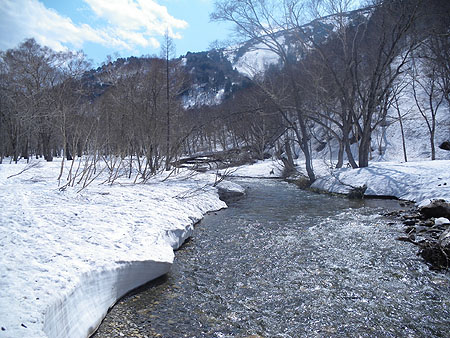 �������ۂ��H