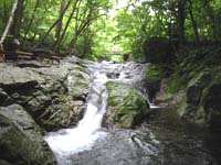 �����Y����