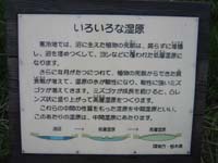 �w�K�ŔH�Q