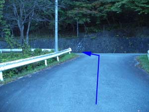 ���ԏꂩ��̓o�R���֌�����