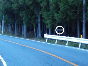 �o�R������̓o�R��