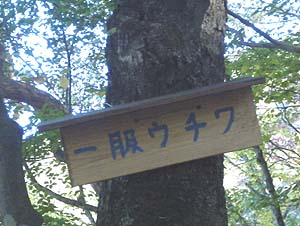 �ꕞ�E�`��