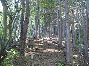 ���邢��������i�ށ`