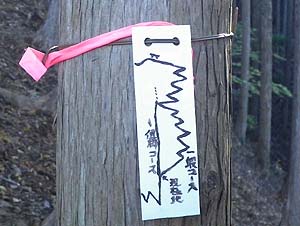 �����ȕ���̕W��