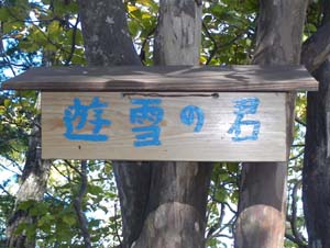 遊雪の君